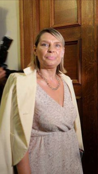 Προβολή εικόνας στο Twitter