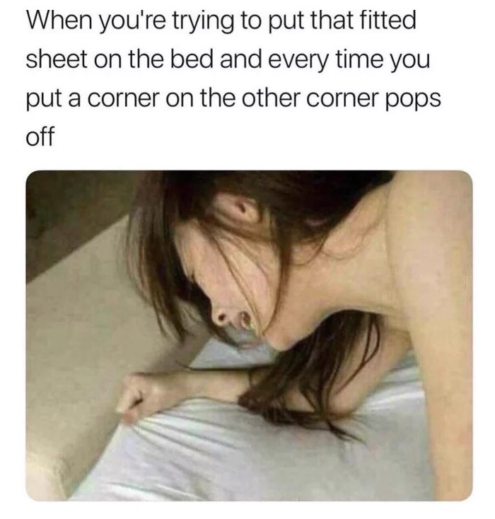 [Image: DltjZ62VsAAUYkG.jpg]