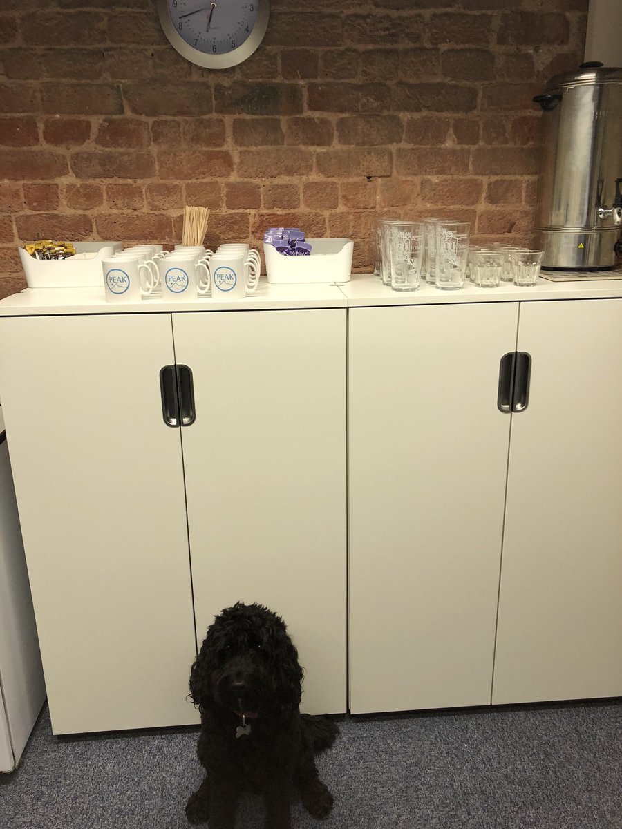 Molly’s been helping build the new cupboards in time for the classes starting in September! <a href="/YourAAT/">AAT</a> @StudyAAT <a href="/PeakAccountancy/">Peak Accountancy</a>