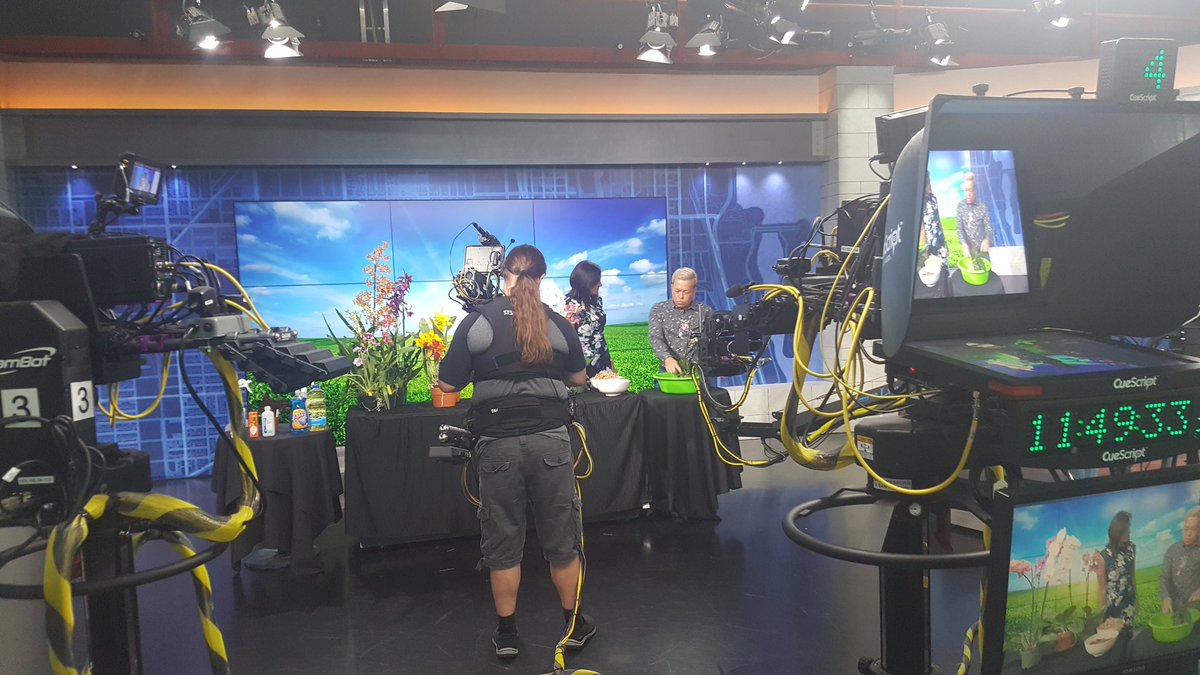 TODAY'S 'ORCHID HACK' News SEGMENT bit.ly/2wsJNcP  <a href="/PetrovichBilly/">Orchiholism</a>
<a href="/TommyTonsberg/">Tommy Tønsberg</a> <a href="/WGNNews/">WGN TV News</a> <a href="/OrchidsLive/">IL Orchid Society</a> <a href="/chicagobotanic/">Chicago Botanic Garden</a> <a href="/HughE_Dillon/">PhillyChitChat</a> <a href="/abanajacobs/">AJ</a> <a href="/DinaBairWGN/">Dina Bair</a> <a href="/kgimson/">k gimson 🌻🐝</a> <a href="/RS_MCIHort/">rs_mcihort</a> <a href="/Urban_Creations/">UrbanCreations</a> <a href="/SamLemheney/">Sam Lemheney</a> <a href="/1lolamarina/">LOLAMARINA 🐋☮️NATURE Defender 🌊By land or by sea</a> <a href="/ChooseChicago/">Choose Chicago</a> <a href="/mr_plantgeek/">Mr Plant Geek ™</a>