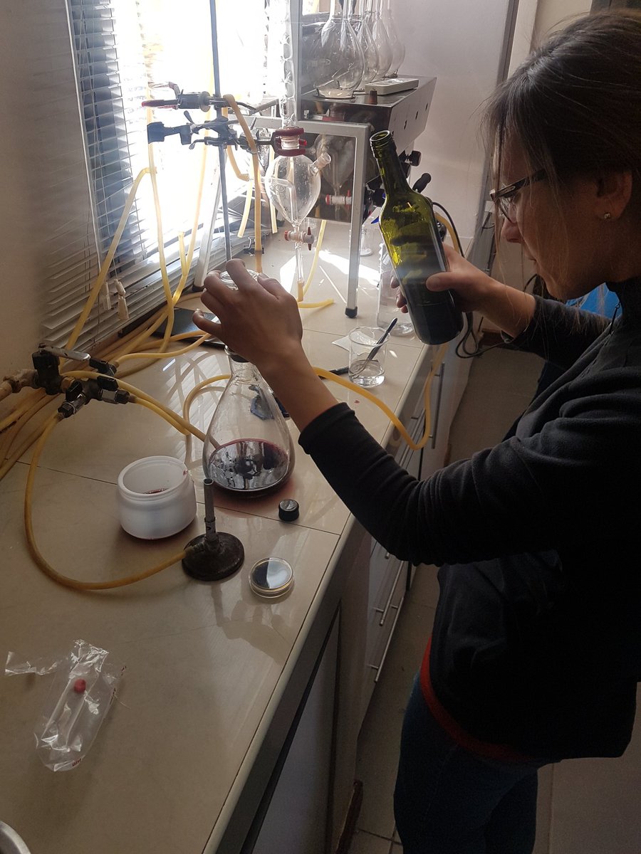 BiovinSA's tweet photo. Exitosa Capacitación sobre: Detección y Reconocimiento de Brettanomyces spp al personal de Bodega Piattelli Vineyards. Agradecemos a Valeria Antolin y Alejandra Zicato por confiar en nosotros y capacitarse cada día más! #microbilogia #enologia #bodega #mendoza https://t.co/LxjLn1kgGx