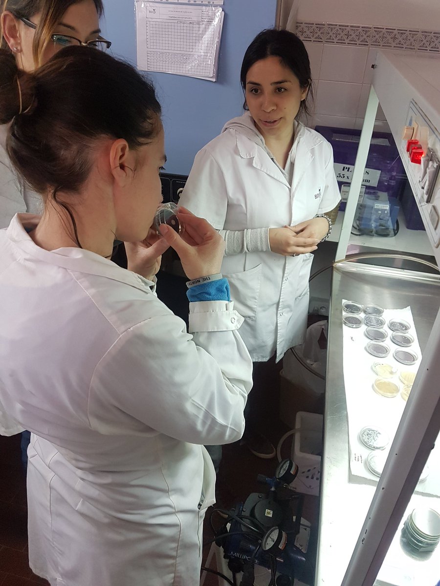 BiovinSA's tweet photo. Exitosa Capacitación sobre: Detección y Reconocimiento de Brettanomyces spp al personal de Bodega Piattelli Vineyards. Agradecemos a Valeria Antolin y Alejandra Zicato por confiar en nosotros y capacitarse cada día más! #microbilogia #enologia #bodega #mendoza https://t.co/LxjLn1kgGx