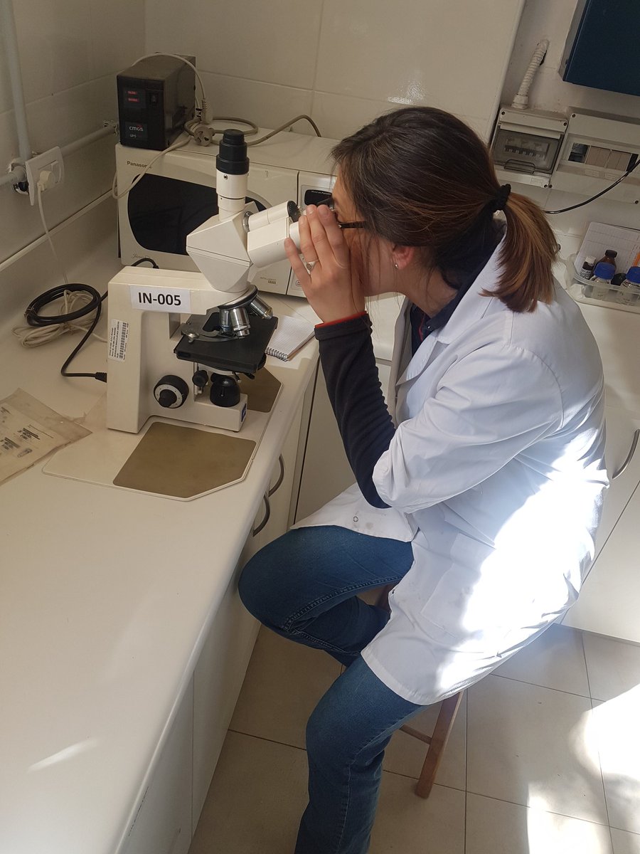 BiovinSA's tweet photo. Exitosa Capacitación sobre: Detección y Reconocimiento de Brettanomyces spp al personal de Bodega Piattelli Vineyards. Agradecemos a Valeria Antolin y Alejandra Zicato por confiar en nosotros y capacitarse cada día más! #microbilogia #enologia #bodega #mendoza https://t.co/LxjLn1kgGx