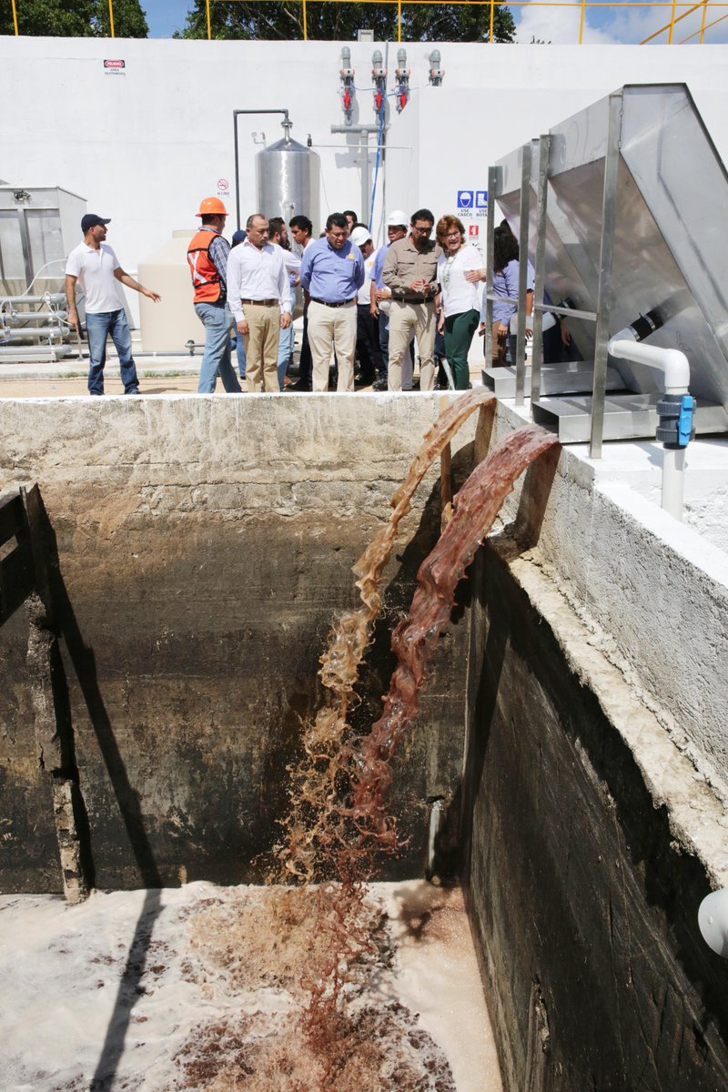 María Fritz Sierra tweet media