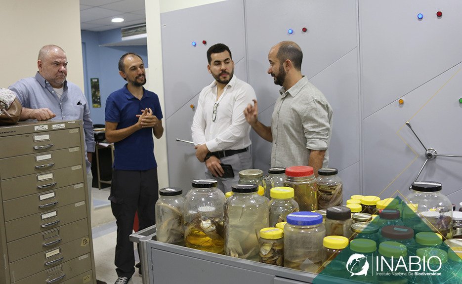 INABIO_EC's tweet photo. #EduardoDalcin de @J_Botanico_RJ , #BrunoMiranda de @mctic y #RodrigoJorge de @ICMBio visitan colecciones cientรญficas de historia natural de #INABIO. El encuentro se realiza en el marco del Fondo Regional para Cooperaciรณn Triangular Amรฉrica Latina y Caribe, gracias a @GIZEcuador https://t.co/KVZDTmC5QQ