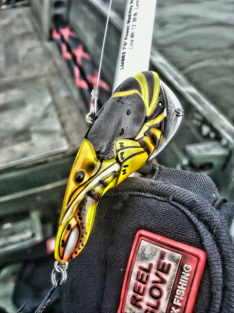CanuckBassin's tweet photo. With bass starting to bulk up on high protein food sources, the @KamookiLures #SmartCraw is an ideal imitation of one of their favourite snacks! https://t.co/363rl8tQSL