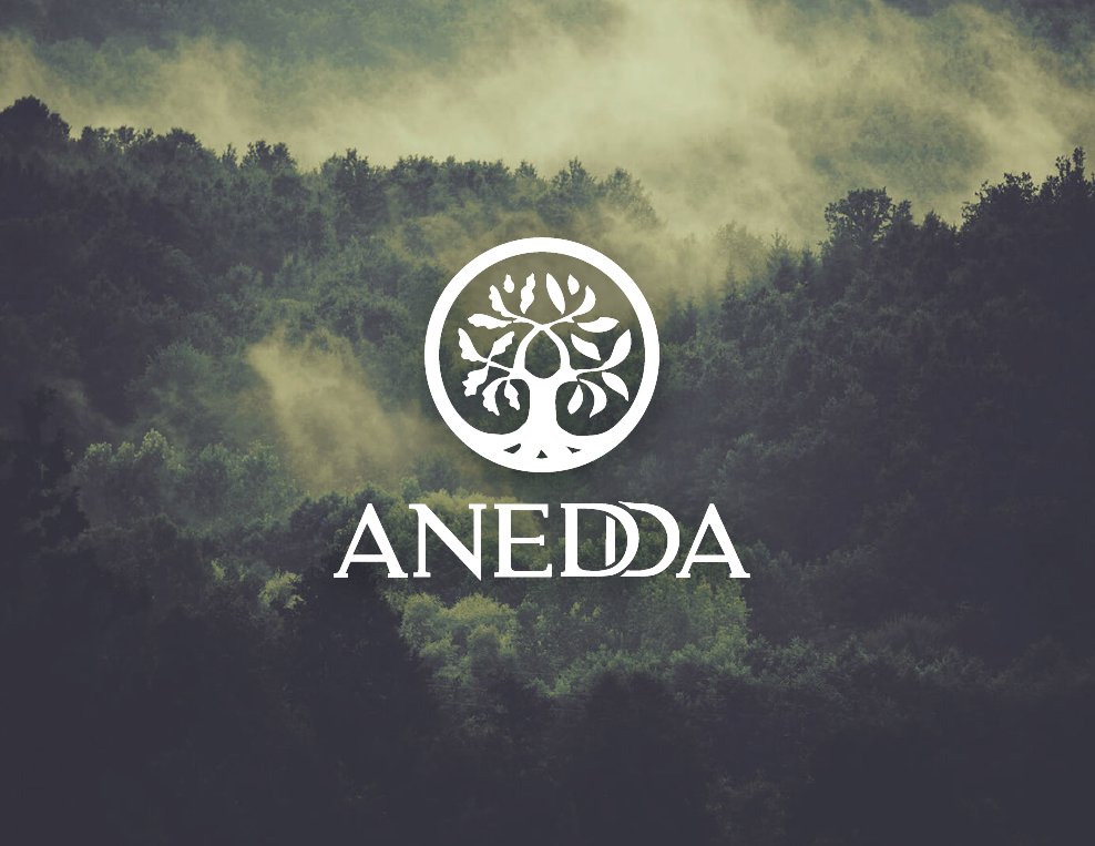eolecom's tweet photo. Eole réalise l'identité de Anedda, qui fournit des services colectifs pour les thérapeutes en médecines naturelles. https://t.co/YA7CewvPxp
