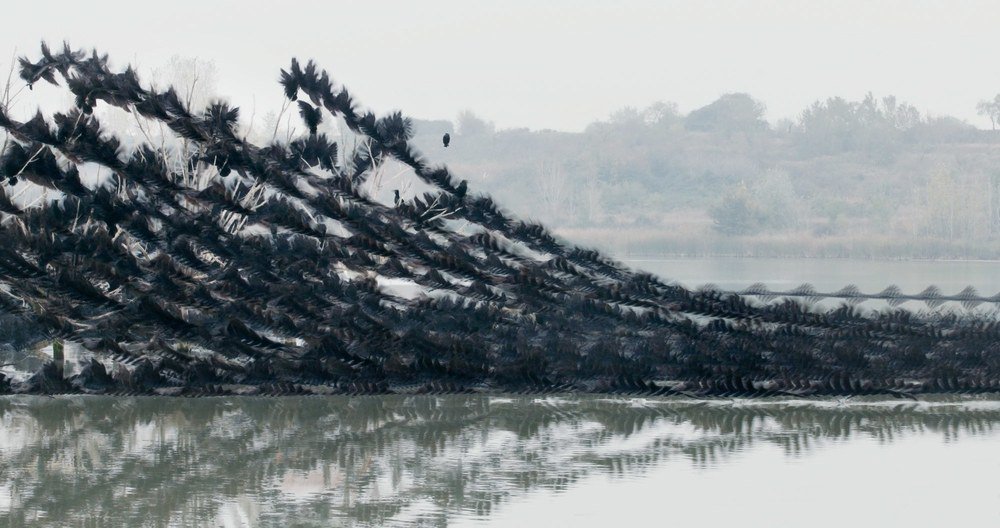 Photographer Xavi Bou stitches together hundreds of photos of birds in flight to make this mesmerizing series. It's as stunning as it is haunting: wired.trib.al/rt3q3u3