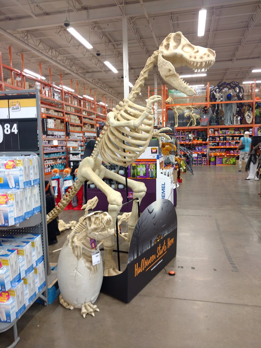 AdamJoshDotCom's tweet photo. This is as real as your plaster of Paris or Papier-mâché "dinosaur skeletons"!
#FlatEarth #FakeNukes #FakeDinosaurs https://t.co/cF1WYHWAhp