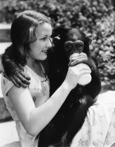 lacityhistory's tweet photo. Has everyone spent hours looking through #LAPL new digital library?! We are loving the new TESSA https://t.co/kEphYtggbj ! 💞 We posted a new #instagram with photos of Luna Park Zoo. Don't know what that is? Check out our instagram: LACityHistory- https://t.co/z7CkpK20F9 https://t.co/1JCKU4Ch4P