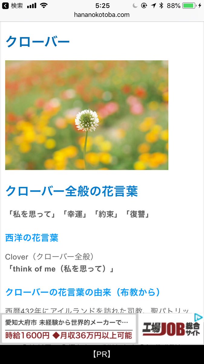 メーたん おいでよ横浜町田 در توییتر 8月29日 誕生花 続き クローバー 花言葉 私を思って 幸運 約束 復讐 花言葉 最後の 復讐 が ちょっと怖い ヮ エゾギク アスター 花言葉 変化 追憶 同感 信じる恋 シュウカイドウ 花言葉 恋の