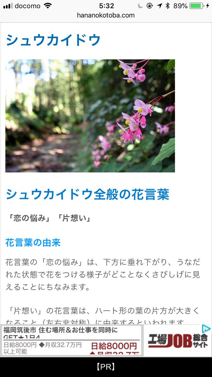 メーたん おいでよ横浜町田 در توییتر 8月29日 誕生花 続き クローバー 花言葉 私を思って 幸運 約束 復讐 花言葉 最後の 復讐 が ちょっと怖い ヮ エゾギク アスター 花言葉 変化 追憶 同感 信じる恋 シュウカイドウ 花言葉 恋の