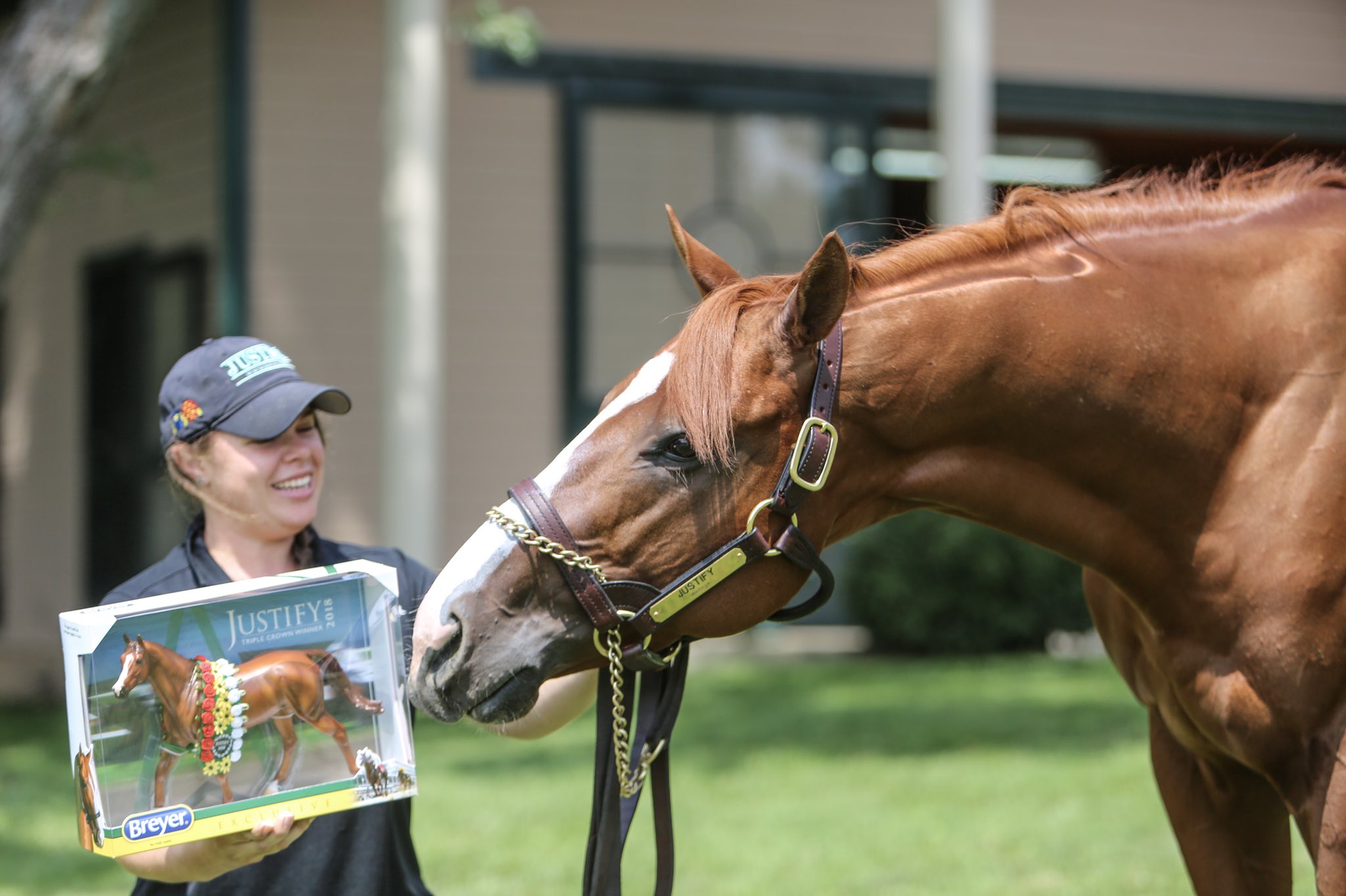 justify breyer horse