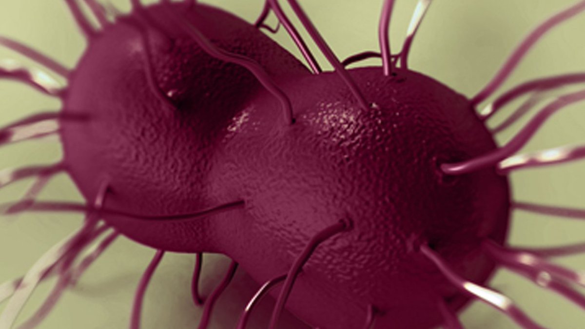 Researchers at the @CDCgov now fear an untreatable form of gonorrhea could be coming. bit.ly/2BWgBRH?utm_so… https://t.co/ngDQt46M5e