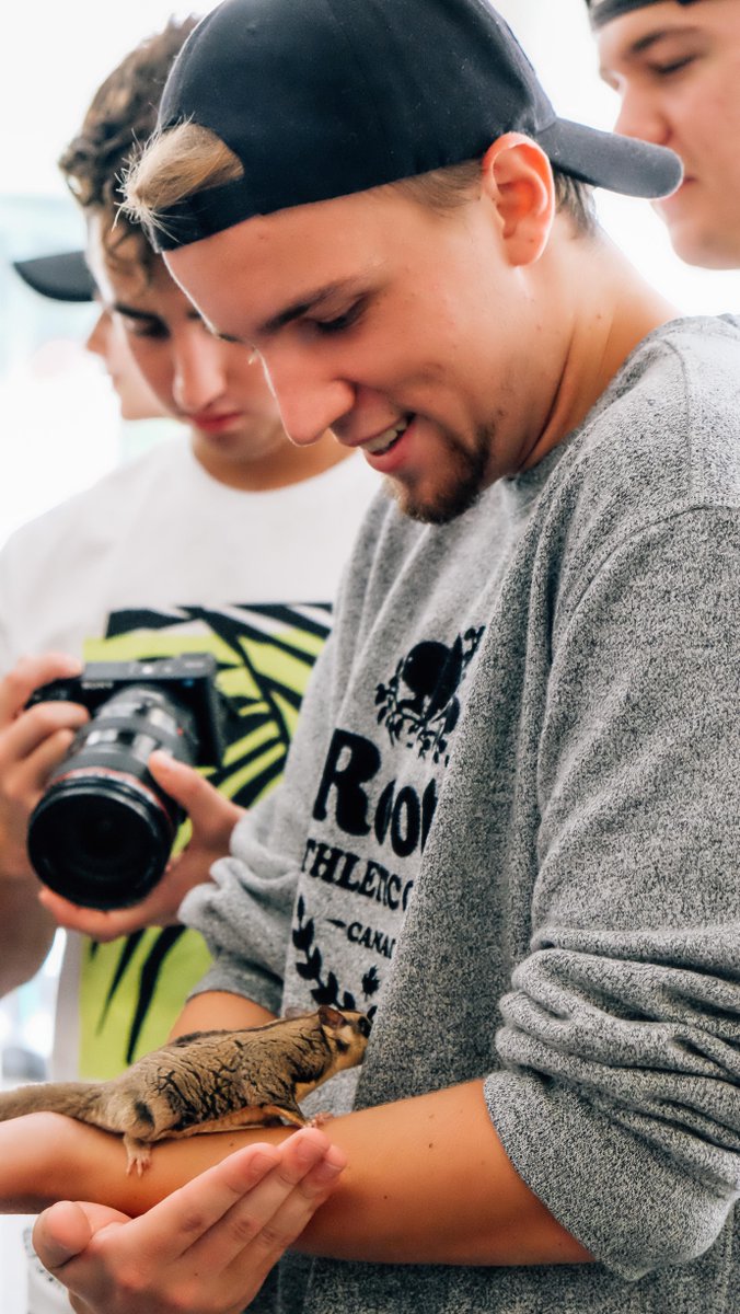 lifeathumber's tweet photo. Such a wild turnout at Humber College's Exotic Animal event. We caught up with some of you to share your favorite animal at the event. 🐒

"I liked the Sugar glider. It was cute, had big eyes and kept jumping on me!"
 - Aaron, Guelph-Humber Business student

@HumberOteam https://t.co/B7dvvPWbJv