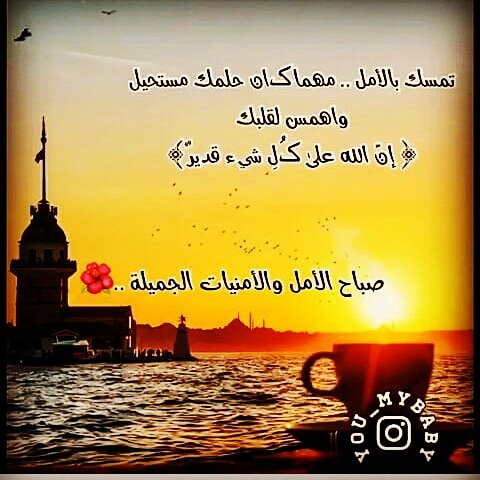 ..👑شمالي👑.. (@6pe3c19jhhb6sou) on Twitter photo 