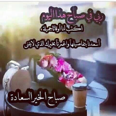 ..👑شمالي👑.. (@6pe3c19jhhb6sou) on Twitter photo 