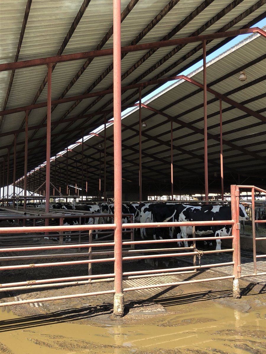 IowaPork's tweet photo. Lots of environment and labor issues discussed at Double D Dairy this morning. #IowaPork #IPLA2018 https://t.co/4bNeoWOLY7