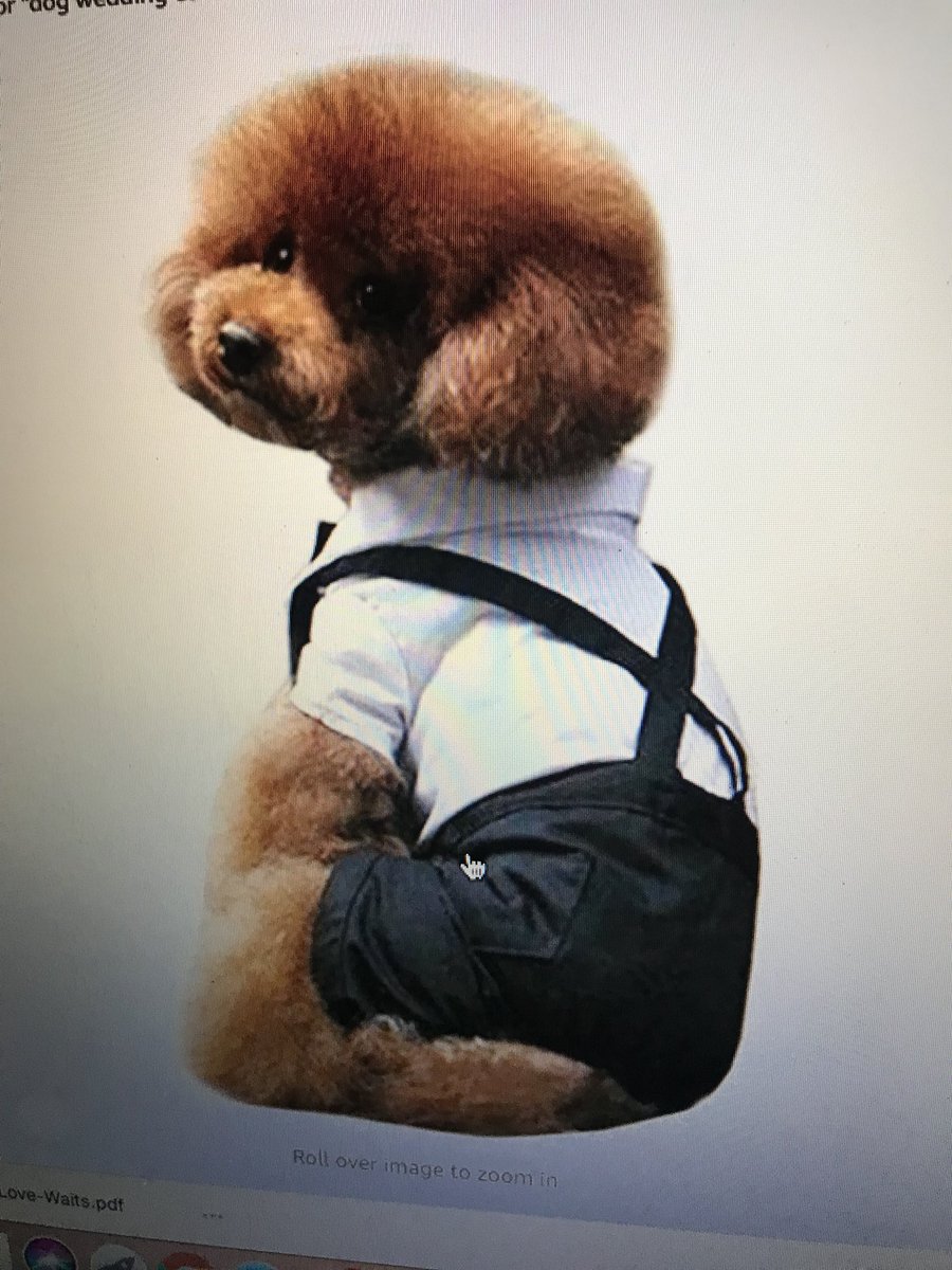 Came across this young gentleman modeling clothes on amazon