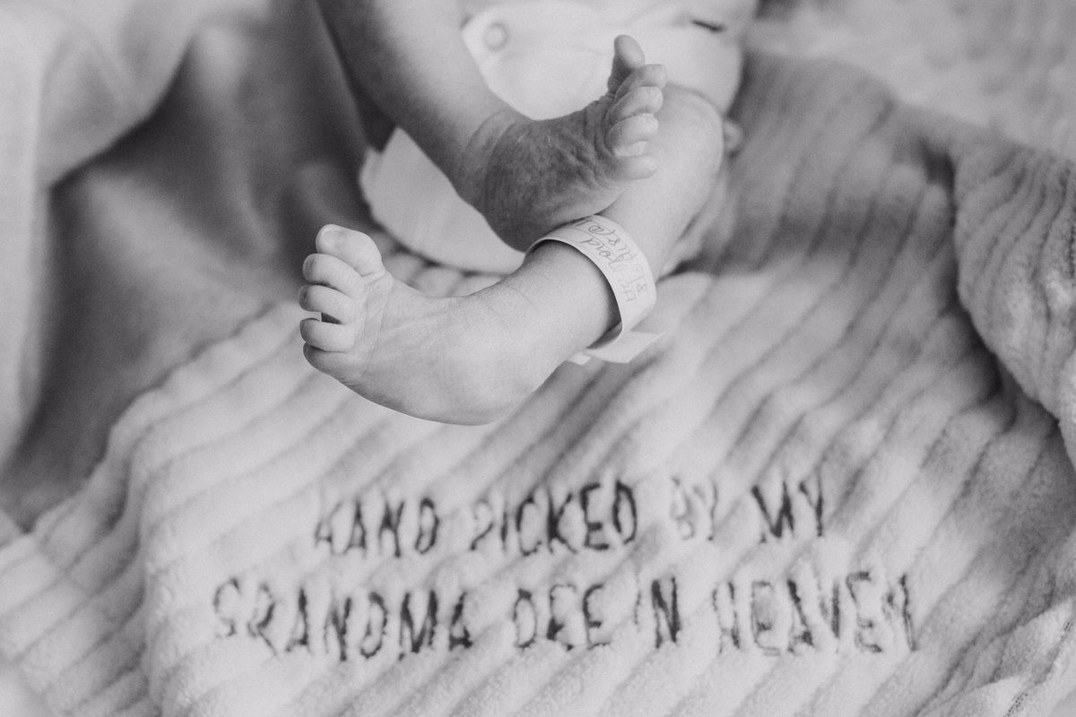 lexi_hafford's tweet photo. Can’t believe I’m their Aunt! They are so perfect! 💓 https://t.co/V6qitry751