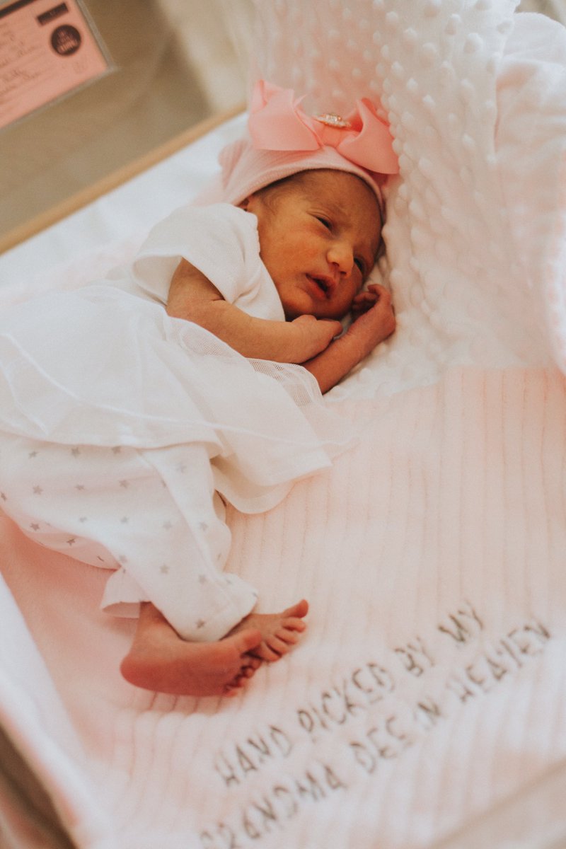 lexi_hafford's tweet photo. Can’t believe I’m their Aunt! They are so perfect! 💓 https://t.co/V6qitry751