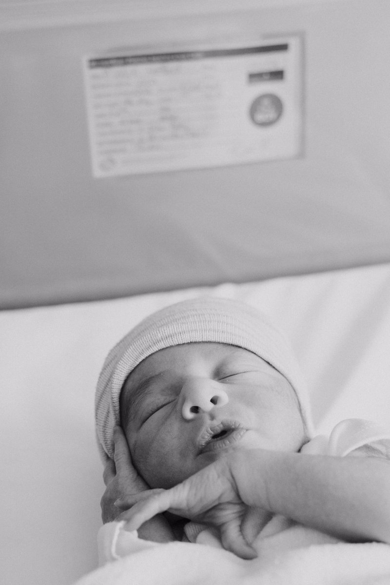 lexi_hafford's tweet photo. Can’t believe I’m their Aunt! They are so perfect! 💓 https://t.co/V6qitry751