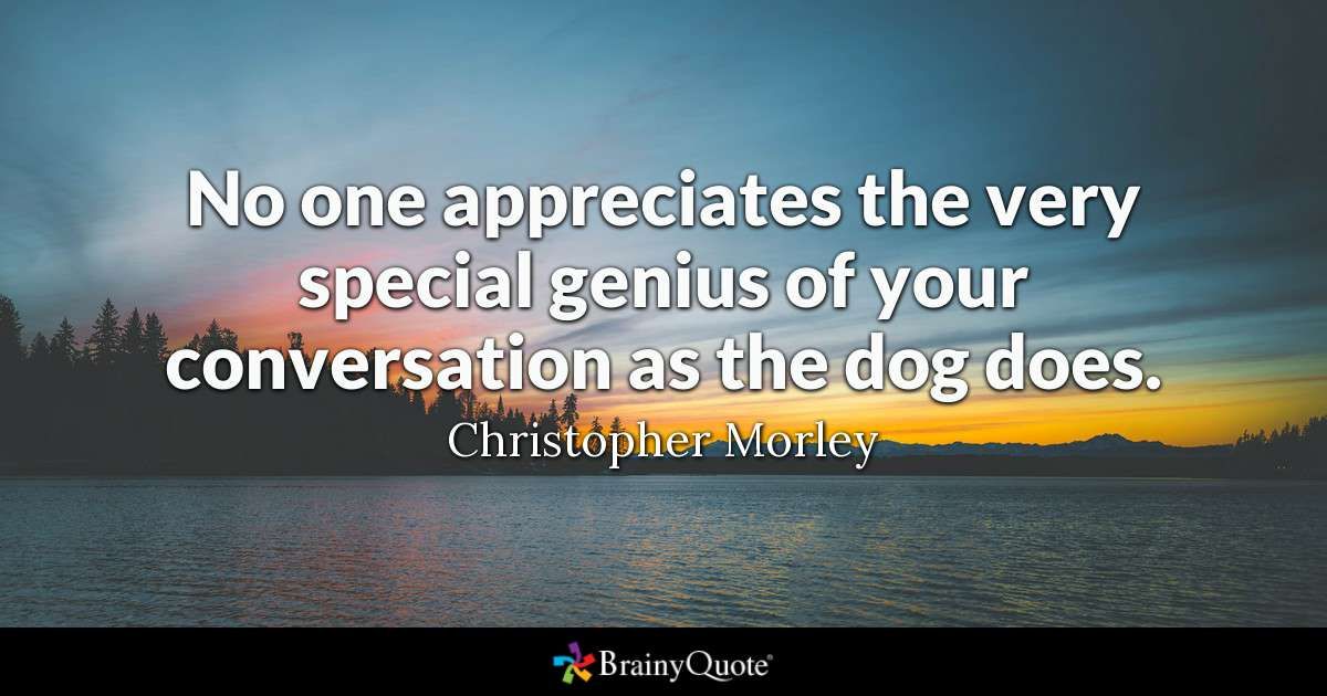 pets_forever's tweet photo. No one appreciates the very special genius of your conversation as the dog does.

#RETWEET #like #followforfollow #likeforfolow #follo4follo #FolloForFolloBack #followback #FollowGain #AUTOFOLLOWBACK #WantMoreFollowers #InstantFollow https://t.co/zZZGqHPR2J
