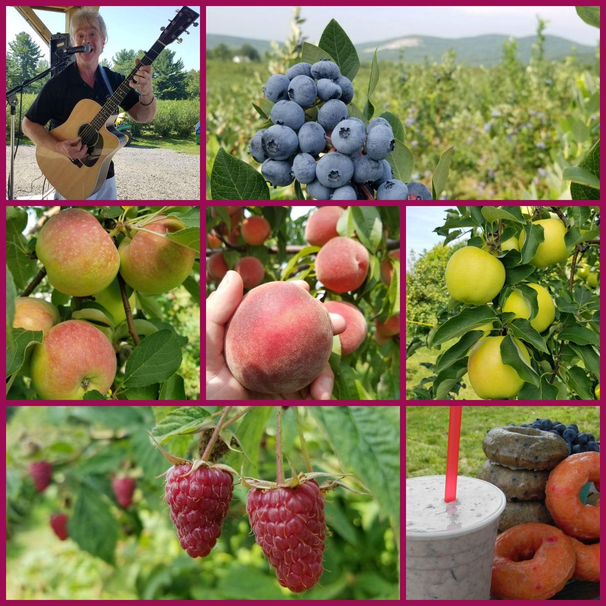 libbyupicks's tweet photo. #pickyourown Blueberries, Raspberries, Peaches &amp; Apples

Wed 8/29 Open 8a-12 Come early to beat the heat!

Donuts - Smoothies - Live Music
#libbyupicks #mainething https://t.co/Oq45cSWOmQ
