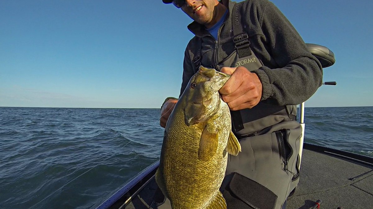YTFISHINGVIDS's tweet photo. Check out this video of day 2 on Lake Ontario fishing for smallmouth bass!!!
Click here to see the video-->https://t.co/dj0UmqipOU
#bassfishing #bass #fishing #smallmouth #smallmouthbass #lakeontario #catchandrelease #bigbass https://t.co/ggAnIhDu2k