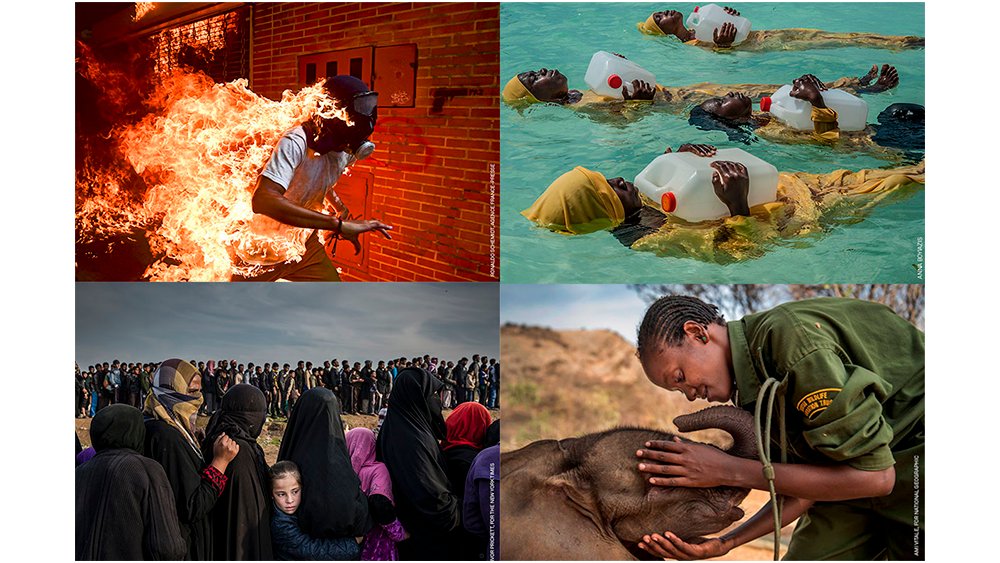STraveland's tweet photo. No te pierdas lo mejor del fotoperiodismo en el World Press Photo 2018 en su 13ª edición de la exposición, que abre sus puertas en #Montreal en el Marché Bonsecours este miércoles 29 de agosto.📸 https://t.co/sb599JJlVl