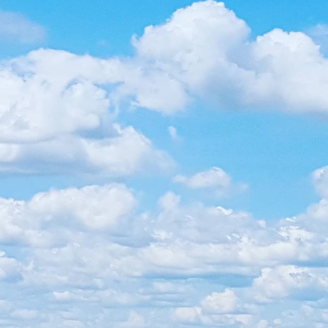 llsnapshots's tweet photo. Summer is made for gazing at cloud regalias like this one! It pauses the craziness happening around you to make you focus the beauty happening around you, if just for a moment.
☁️
🤩
#nature #naturephotography
#clouds #cloudregalia#cloudgazing #cloudp… https://t.co/HOQwaO1ozO https://t.co/HjZDSU8SVn