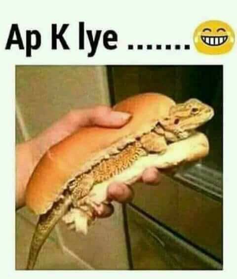 ranasami2019's tweet photo. aa jao friend #partytime https://t.co/6cRSlfMdV1