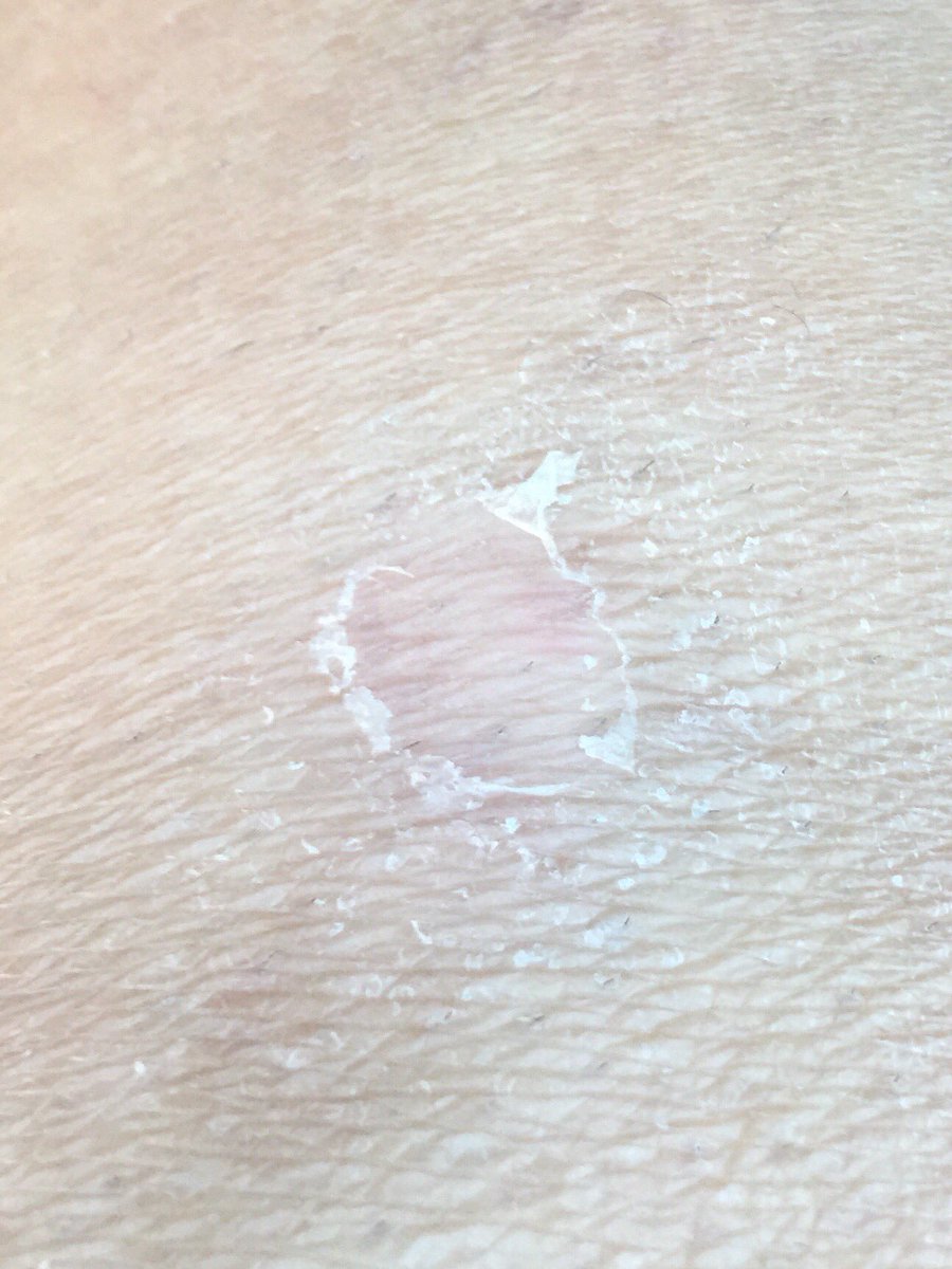 senoraCMT's tweet photo. Literal floor burn from demonstrating how to approach and capture a Pikachu in #wildcatSpanish2 #6thhour @martinabex #somos #muchachayardilla https://t.co/euIHn6W1L0