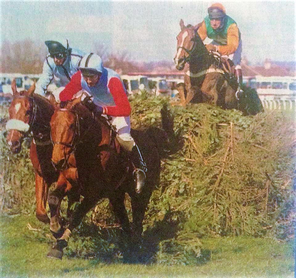 List 90+ Images when did little polveir win the grand national Sharp