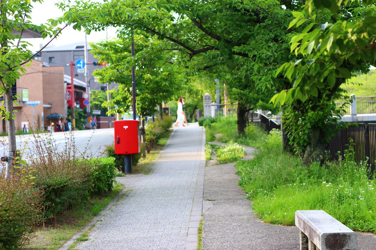 Seth_Louis7's tweet photo. @kiriekawasaki 🌼good morning dear friends🌼

#神宮道 #岡崎  #平安神宮 #京都
#photograph #SethHero #camera

photographer Seth Hero @coh_seth https://t.co/LSjCz5iZHO