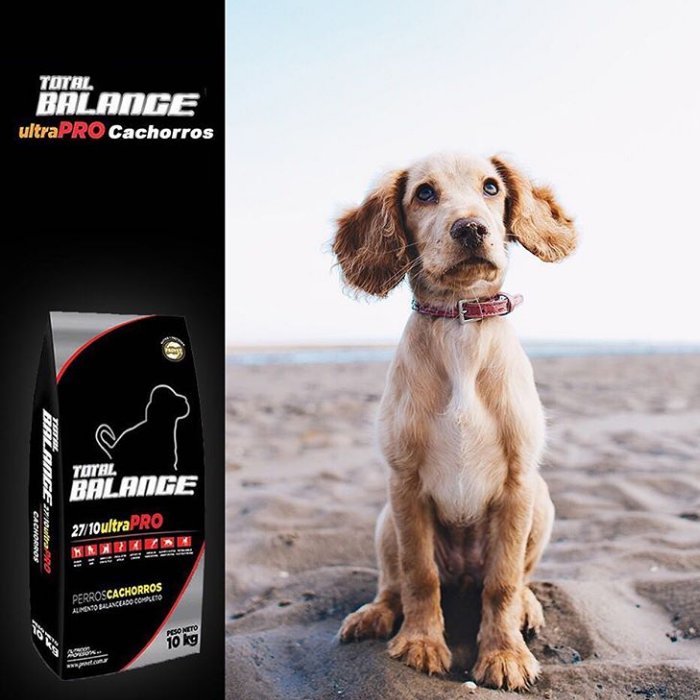 ProvetArg's tweet photo. TOTAL BALANCE Cachorros: Con harinas de Pollo y Bovinos como principales fuentes de energía.
27/10 UltraPro.
Producto destinado a la alimentación de cachorros.
Su fórmula provee los nutrientes necesarios para ésta etapa crítica del desarrollo.
#trabajodigital https://t.co/D3NP4q7pBN