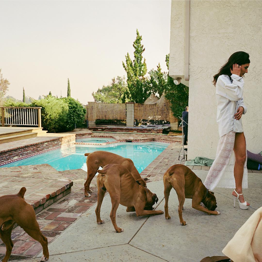 Iconique3's tweet image. Larry Sultan