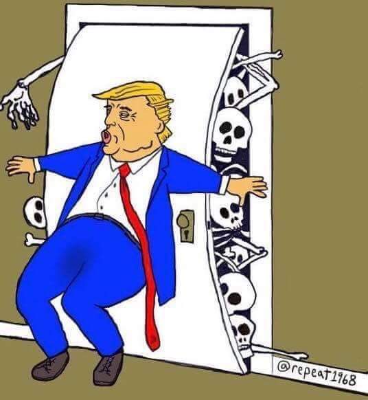 christineyhsd's tweet photo. Watching the returns from Florida and see one after the next GOP win again for the house. What? It's I vote Republican no matter who no matter, doesn't matter children in cages, our country being destroyed. #BrainlessSheep https://t.co/c8HFgWaQee