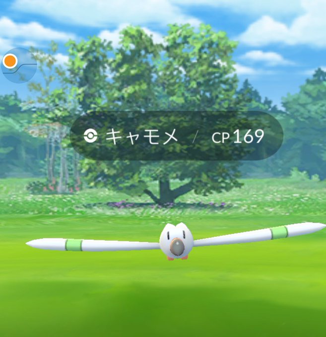 P Hide P Page 6 Twilog