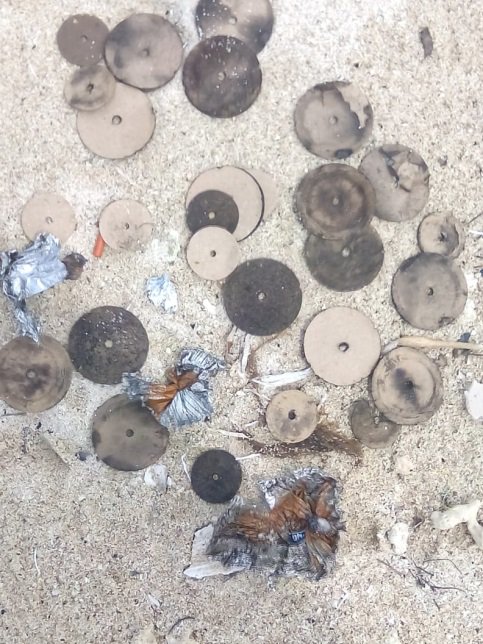 PROFEPA_Mx's tweet photo. Inicia @PROFEPA_Mx  investigación por fiesta en Isla Salmedina del ANP Parque Nacional Sistema Arrecifal Veracruzano; abre procedimiento administrativo contra quien o quienes resulten responsables. https://t.co/Urxs6izzVq https://t.co/YPp78pspLW