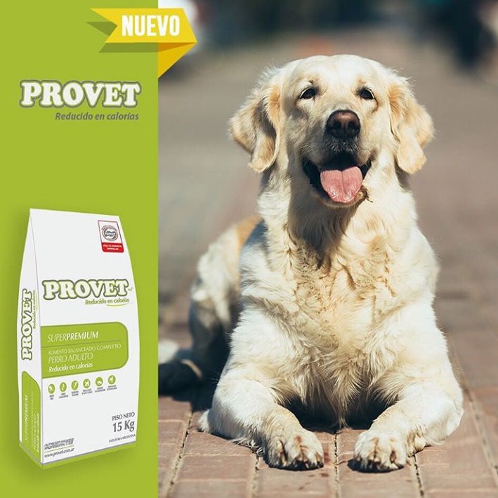 ProvetArg's tweet photo. PROVET Bajas Calorías colabora con la reducción y el mantenimiento del peso corporal adecuado, asegurando una excelente nutrición por la óptima calidad de sus ingredientes, y asegurando también el consumo, por poseer muy buena palatabilidad.
#trabajodigital https://t.co/N6jDpdJajz