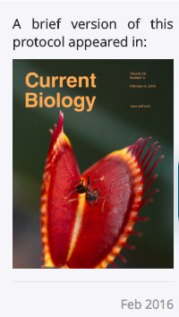 bioprotocolbyte's tweet photo. Quantification of starch in Guard cells of Arabidopsis https://t.co/hPISFssepK using fluorophore propidium iodide and confocal laser scanning microscopy #stomata #imaging #plantsci #method #openaccess #reproducibility #robustprotocols #bio @CurrentBiology https://t.co/Vy35byZ0fh https://t.co/TyZFAav9v4