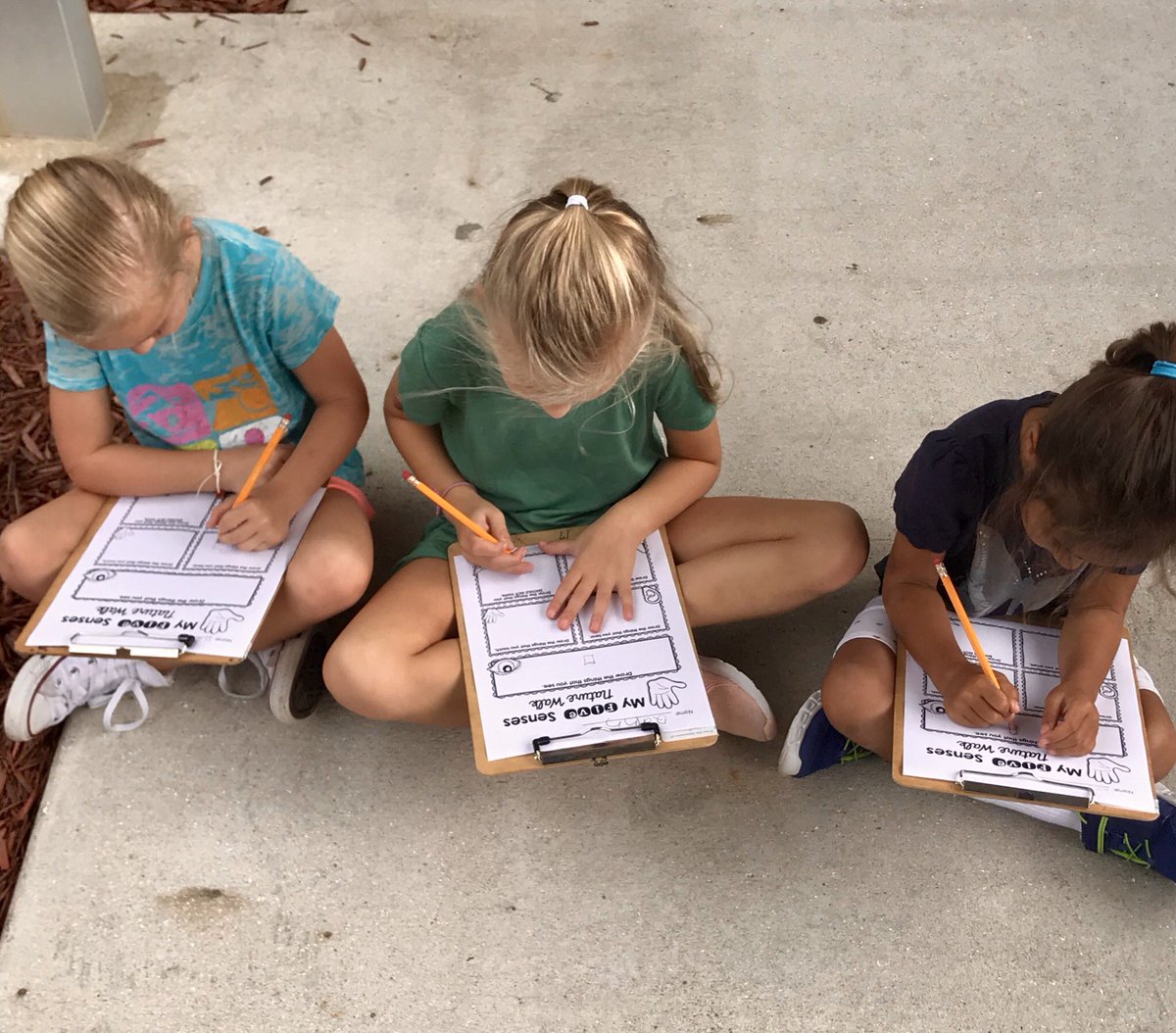 We went on a nature walk around campus using our 5 senses! <a href="/VMEPatriots/">Veterans Memorial Elementary</a> <a href="/VMEKinderKids/">💙🇺🇸❤️VME Kinder Kids❤️🇺🇸💙</a>
