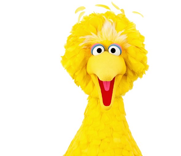 moneymosh12's tweet photo. who’s the better bird in New York City?

RT for Big Bird
Like for Greg Bird https://t.co/yqmHY7v2eT