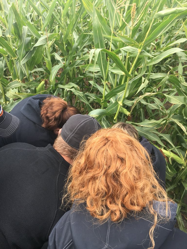 Great day learning about #DEKALB corn with <a href="/Richardson_INTL/">Richardson International</a> today. Thanks <a href="/chickfarmgirl99/">Colette Thurston🌱🐮🌽🌿</a> and Lenny for your passion for🌽 and trial collaboration and <a href="/colin_klassen/">Colin Klassen</a> for sharing your herbicide and fungicide knowledge. #cowfood #VTDoublePro4thewin