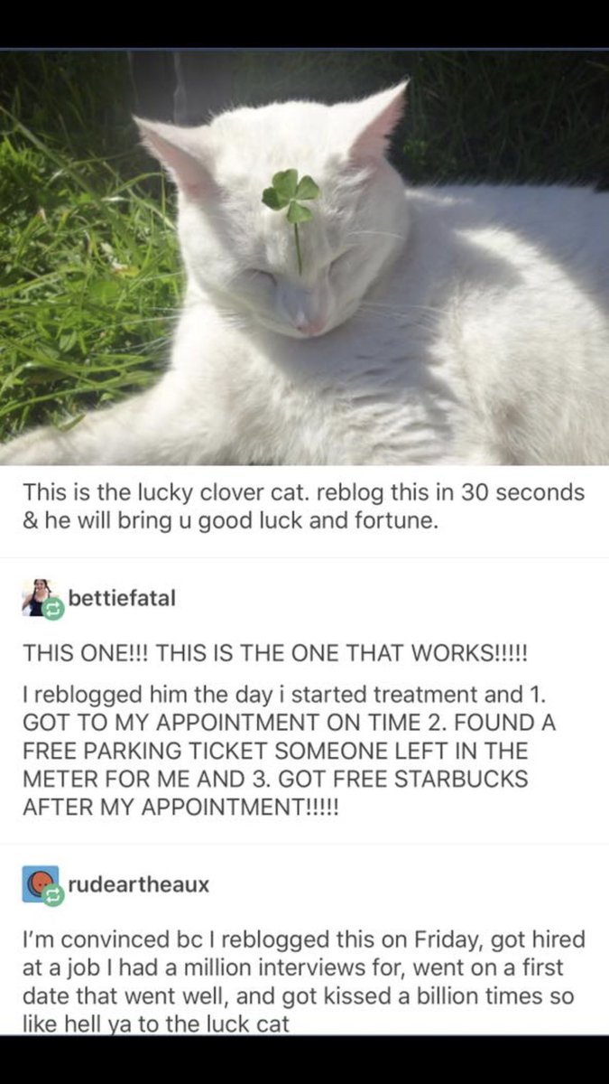 OhioGuy22's tweet image. I need some good luck for the next few days so I’m not taking any chances 🤷🏻‍♂️