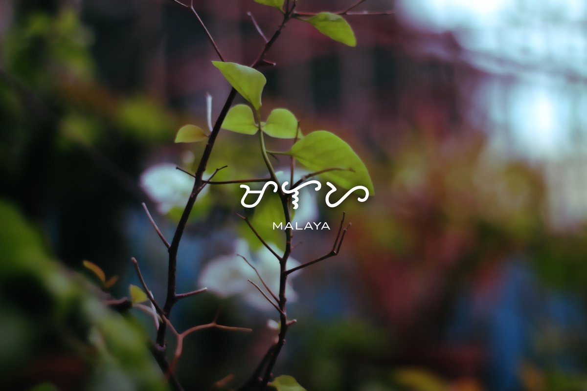 jezzcee's tweet photo. "ILARAWAN ANG SARILI"  📷💛✨  #Baybayin https://t.co/OkCx9ImB2M