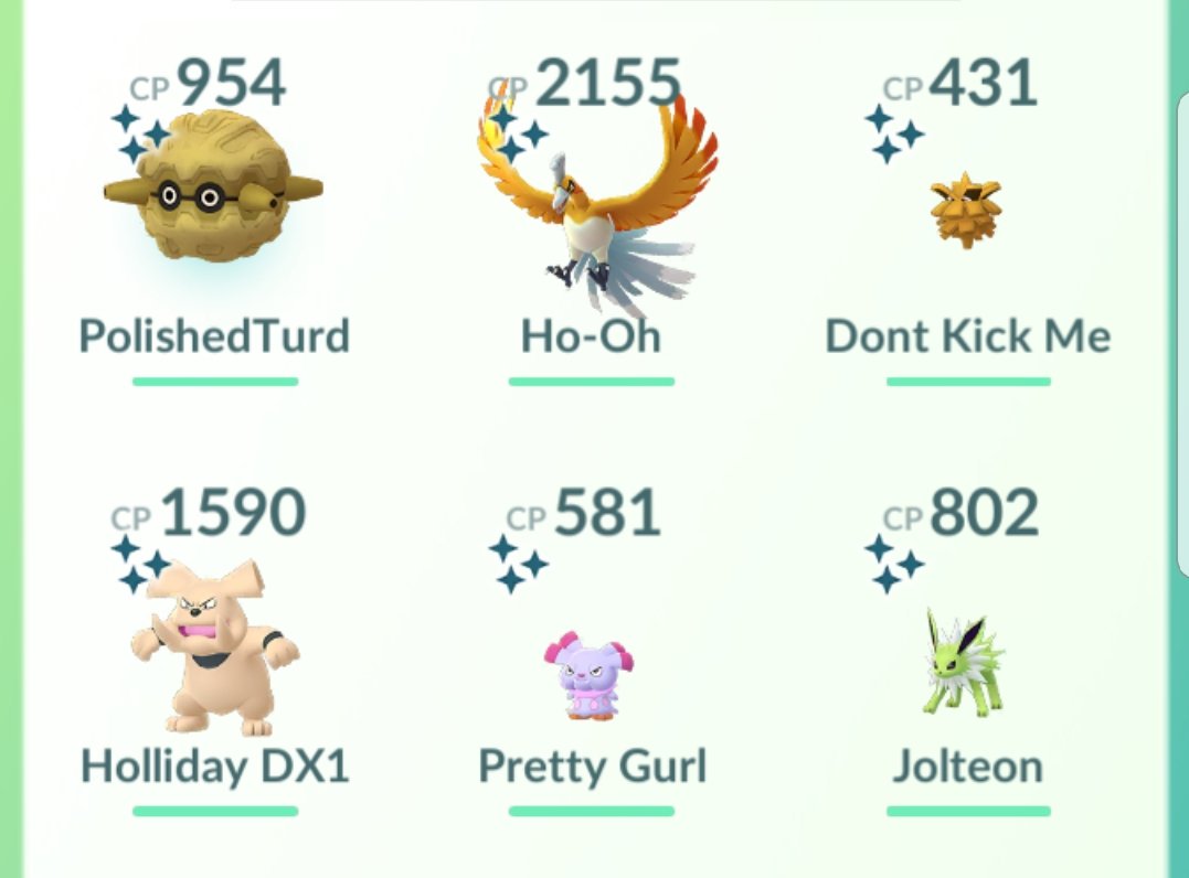 Blaze_Uchiha's tweet photo. So the Johto Event is now gone but it was quite a fulfilling event i managed to get my hands on some new shinies🤩 lol ignore the Jolteon he just want's attention 😅 #PokemonGO #JohtoWeek https://t.co/OutoxOCPZk
