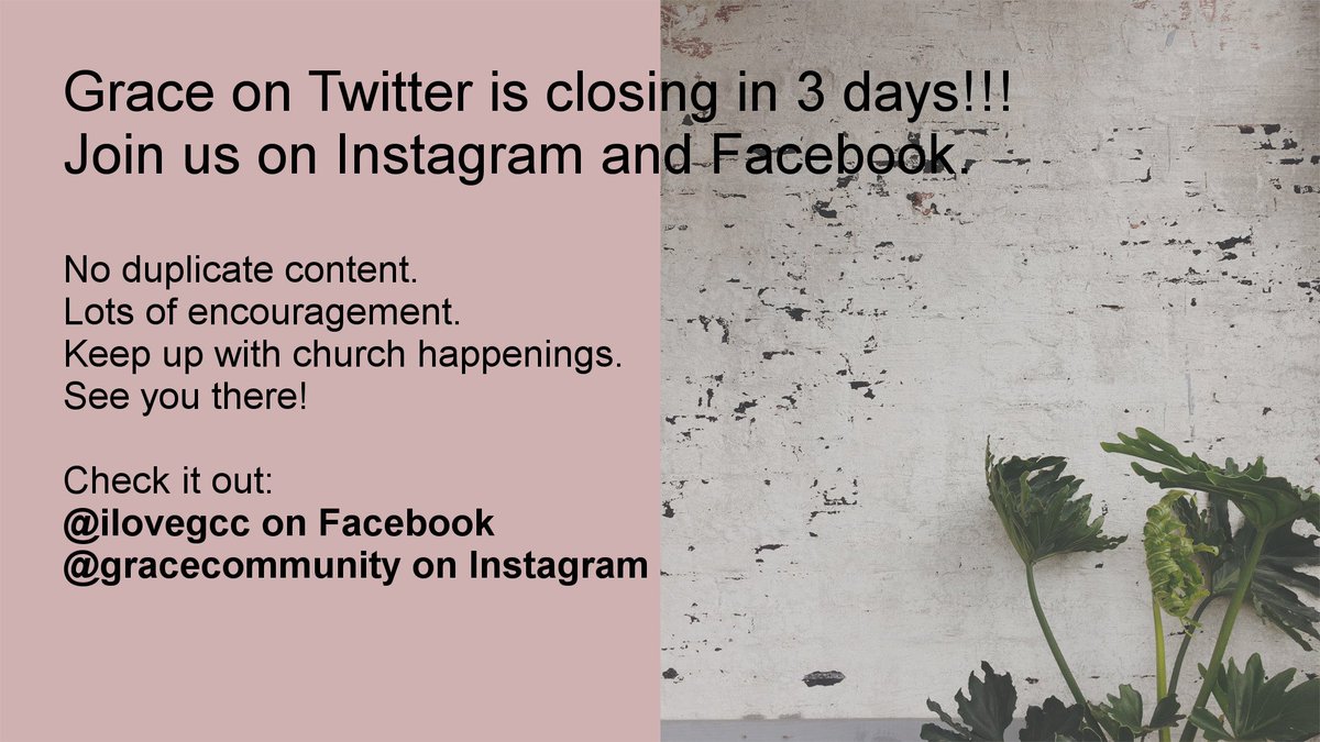 Grace_Community's tweet photo. RIP Grace Twitter...3 days and counting. https://t.co/IXvytbkTET