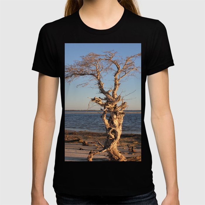 StrewthDesign's tweet photo. ⚡️ “#PeelTree by @strewthdesign”
#gday #fellow #tweeters
#budiful #new #unique #design from #australia  #nature #landscape #giftshop #forher #forhim
#please #follow #share #retweet
#love &amp; #peace
https://t.co/f6IjGt6MJ5
https://t.co/a8s3WUlaIo https://t.co/7BdTjV8Xxi